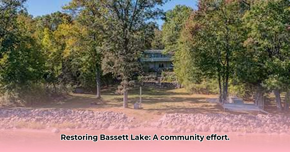 bassett-lake-mn